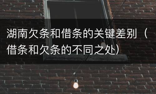 湖南欠条和借条的关键差别（借条和欠条的不同之处）