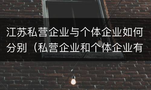 江苏私营企业与个体企业如何分别（私营企业和个体企业有什么区别）