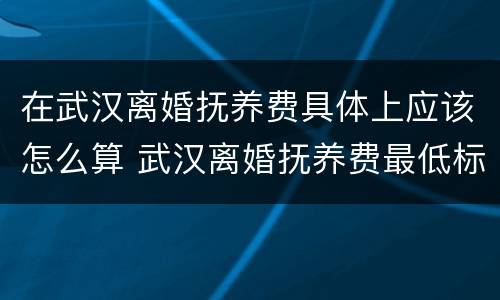 在武汉离婚抚养费具体上应该怎么算 武汉离婚抚养费最低标准