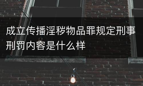 成立传播淫秽物品罪规定刑事刑罚内容是什么样