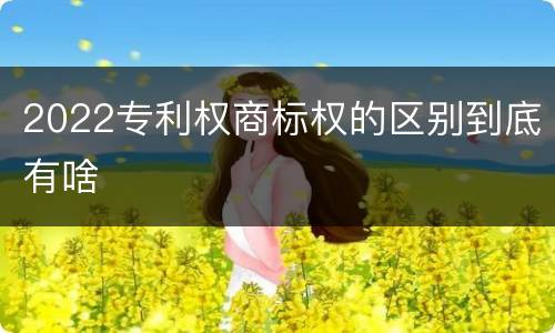 2022专利权商标权的区别到底有啥