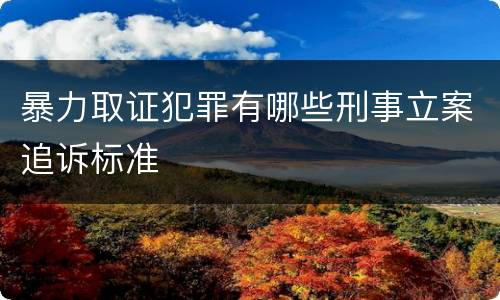 暴力取证犯罪有哪些刑事立案追诉标准