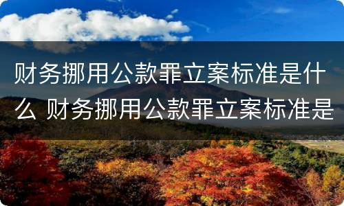 财务挪用公款罪立案标准是什么 财务挪用公款罪立案标准是什么规定