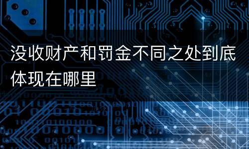 没收财产和罚金不同之处到底体现在哪里