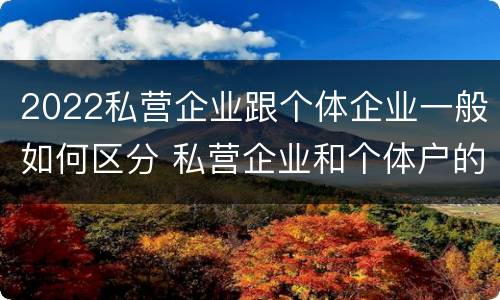 2022私营企业跟个体企业一般如何区分 私营企业和个体户的区别