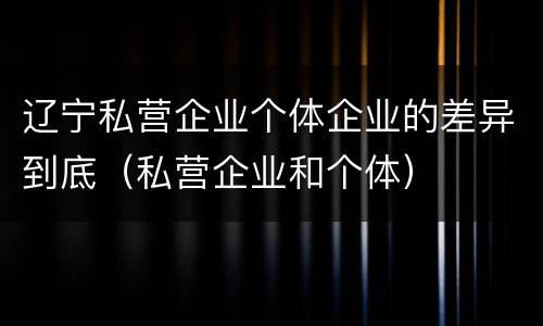辽宁私营企业个体企业的差异到底（私营企业和个体）