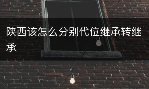 陕西该怎么分别代位继承转继承
