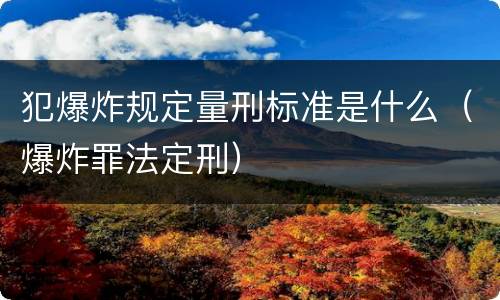 犯爆炸规定量刑标准是什么（爆炸罪法定刑）