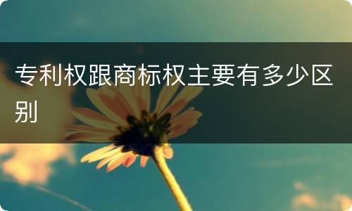 专利权跟商标权主要有多少区别