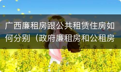 广西廉租房跟公共租赁住房如何分别（政府廉租房和公租房性质一样么?）