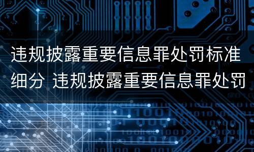 违规披露重要信息罪处罚标准细分 违规披露重要信息罪处罚标准细分为几类