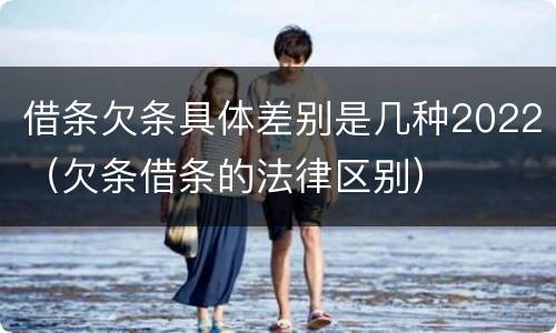 借条欠条具体差别是几种2022（欠条借条的法律区别）