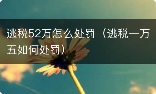 逃税52万怎么处罚（逃税一万五如何处罚）