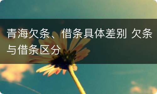 青海欠条、借条具体差别 欠条与借条区分