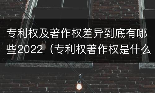 专利权及著作权差异到底有哪些2022（专利权著作权是什么意思）