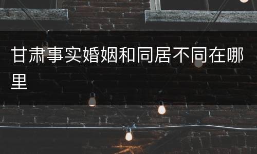 甘肃事实婚姻和同居不同在哪里