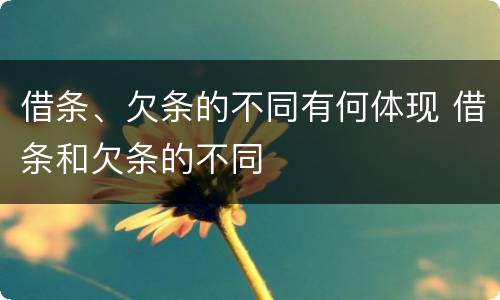 借条、欠条的不同有何体现 借条和欠条的不同