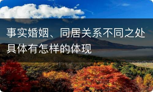 事实婚姻、同居关系不同之处具体有怎样的体现