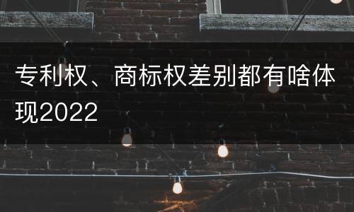 专利权、商标权差别都有啥体现2022