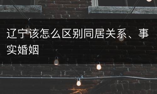 辽宁该怎么区别同居关系、事实婚姻