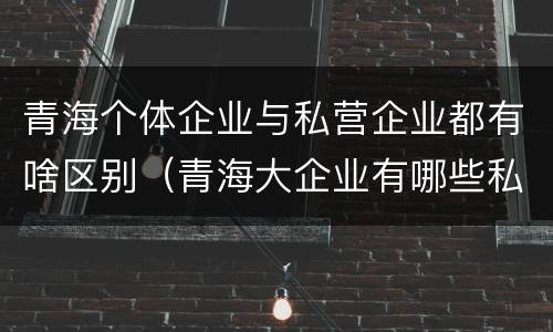青海个体企业与私营企业都有啥区别（青海大企业有哪些私企）