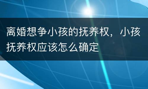 离婚想争小孩的抚养权，小孩抚养权应该怎么确定