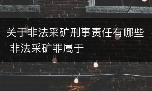 关于非法采矿刑事责任有哪些 非法采矿罪属于