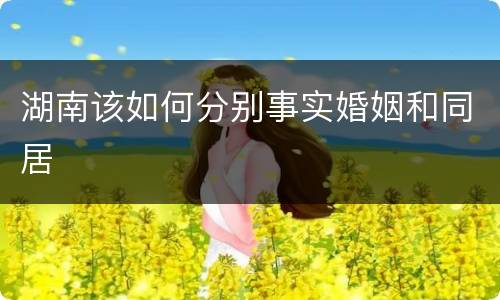 湖南该如何分别事实婚姻和同居