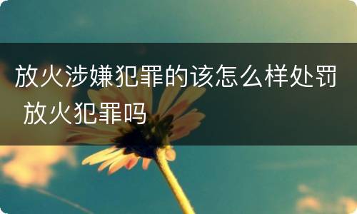 放火涉嫌犯罪的该怎么样处罚 放火犯罪吗