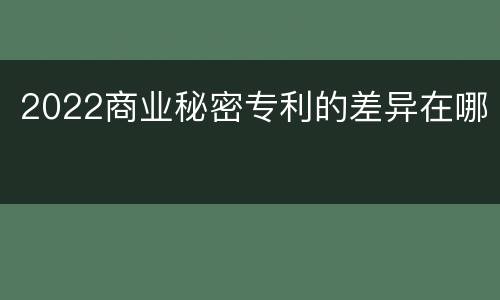 2022商业秘密专利的差异在哪