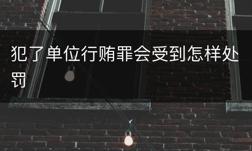 犯了单位行贿罪会受到怎样处罚