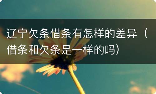 辽宁欠条借条有怎样的差异（借条和欠条是一样的吗）