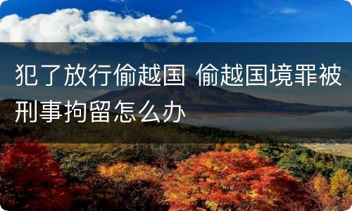 犯了放行偷越国 偷越国境罪被刑事拘留怎么办