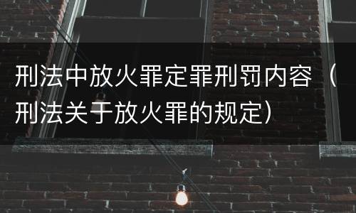 刑法中放火罪定罪刑罚内容（刑法关于放火罪的规定）