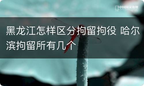黑龙江怎样区分拘留拘役 哈尔滨拘留所有几个