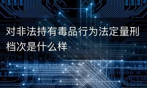 对非法持有毒品行为法定量刑档次是什么样