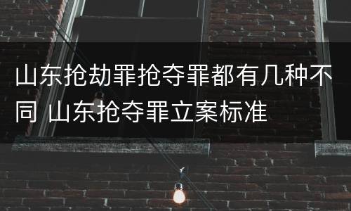 山东抢劫罪抢夺罪都有几种不同 山东抢夺罪立案标准