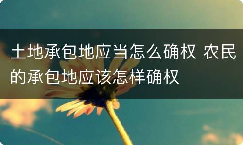 土地承包地应当怎么确权 农民的承包地应该怎样确权