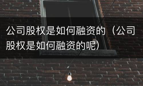 公司股权是如何融资的（公司股权是如何融资的呢）