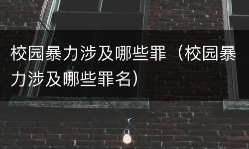 校园暴力涉及哪些罪（校园暴力涉及哪些罪名）