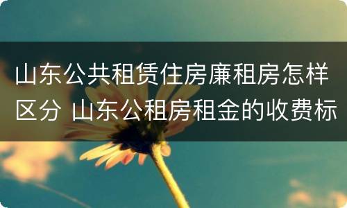 山东公共租赁住房廉租房怎样区分 山东公租房租金的收费标准