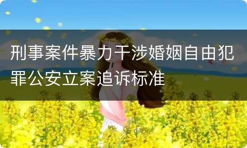 刑事案件暴力干涉婚姻自由犯罪公安立案追诉标准