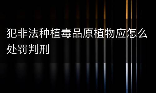 犯非法种植毒品原植物应怎么处罚判刑