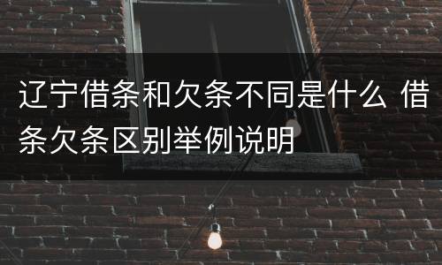 辽宁借条和欠条不同是什么 借条欠条区别举例说明