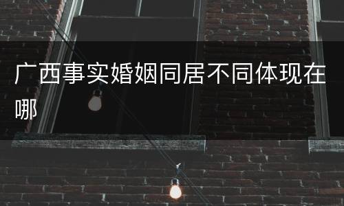广西事实婚姻同居不同体现在哪