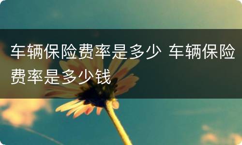 车辆保险费率是多少 车辆保险费率是多少钱
