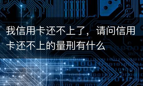 我信用卡还不上了，请问信用卡还不上的量刑有什么