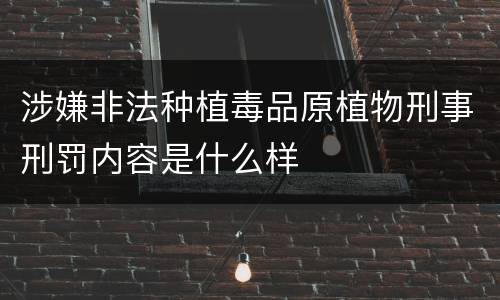 涉嫌非法种植毒品原植物刑事刑罚内容是什么样