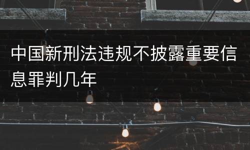 中国新刑法违规不披露重要信息罪判几年