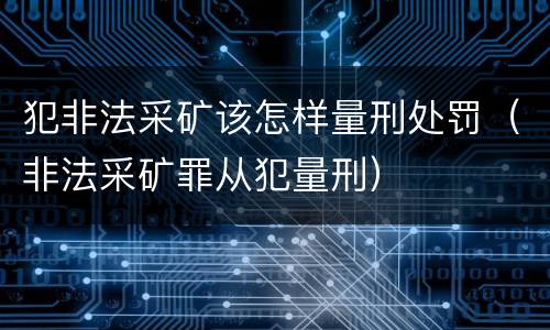 犯非法采矿该怎样量刑处罚（非法采矿罪从犯量刑）